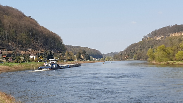 Elbe bei Pirna